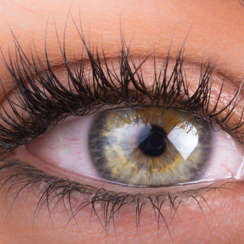 Lash and Brow Serum - Boost Growth for Fuller Lashes & Brows | 10ml