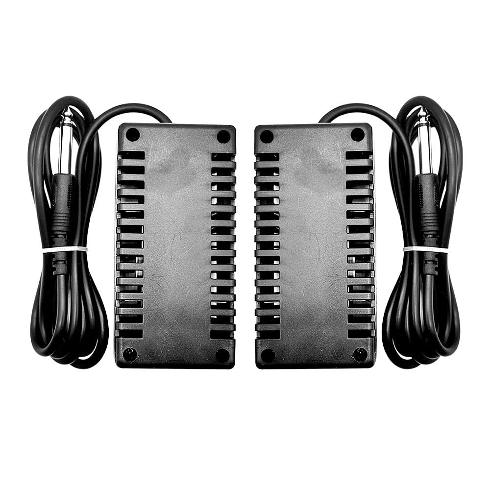 4 Rectangle Arrays for Detox Footbath - Replacement Foot Detox Array for Ionic Foot SPA Cleanse Machine (2 Count (Pack of 1))