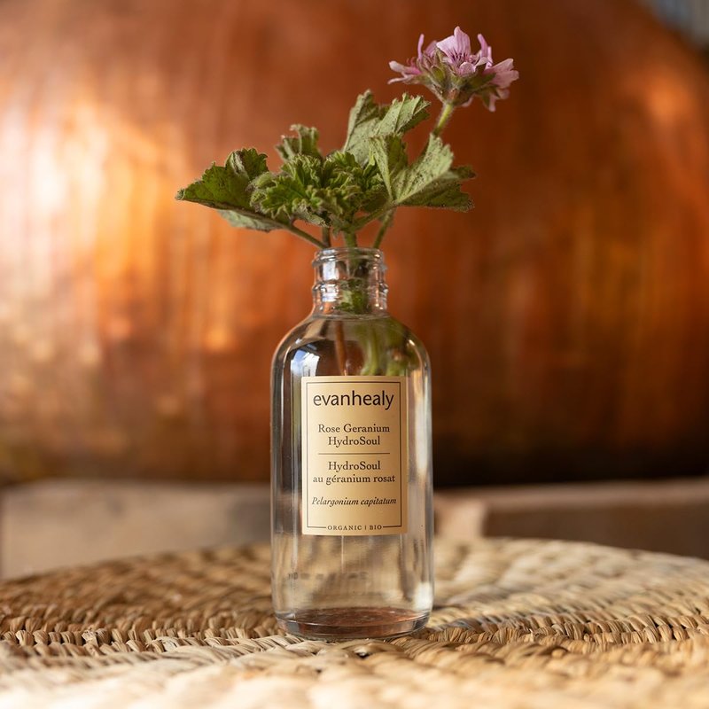 Evanhealy Rose Geranium HydroSoul - Organic Balancing Face Toner | Astringent Hydrosol for All Skin Types