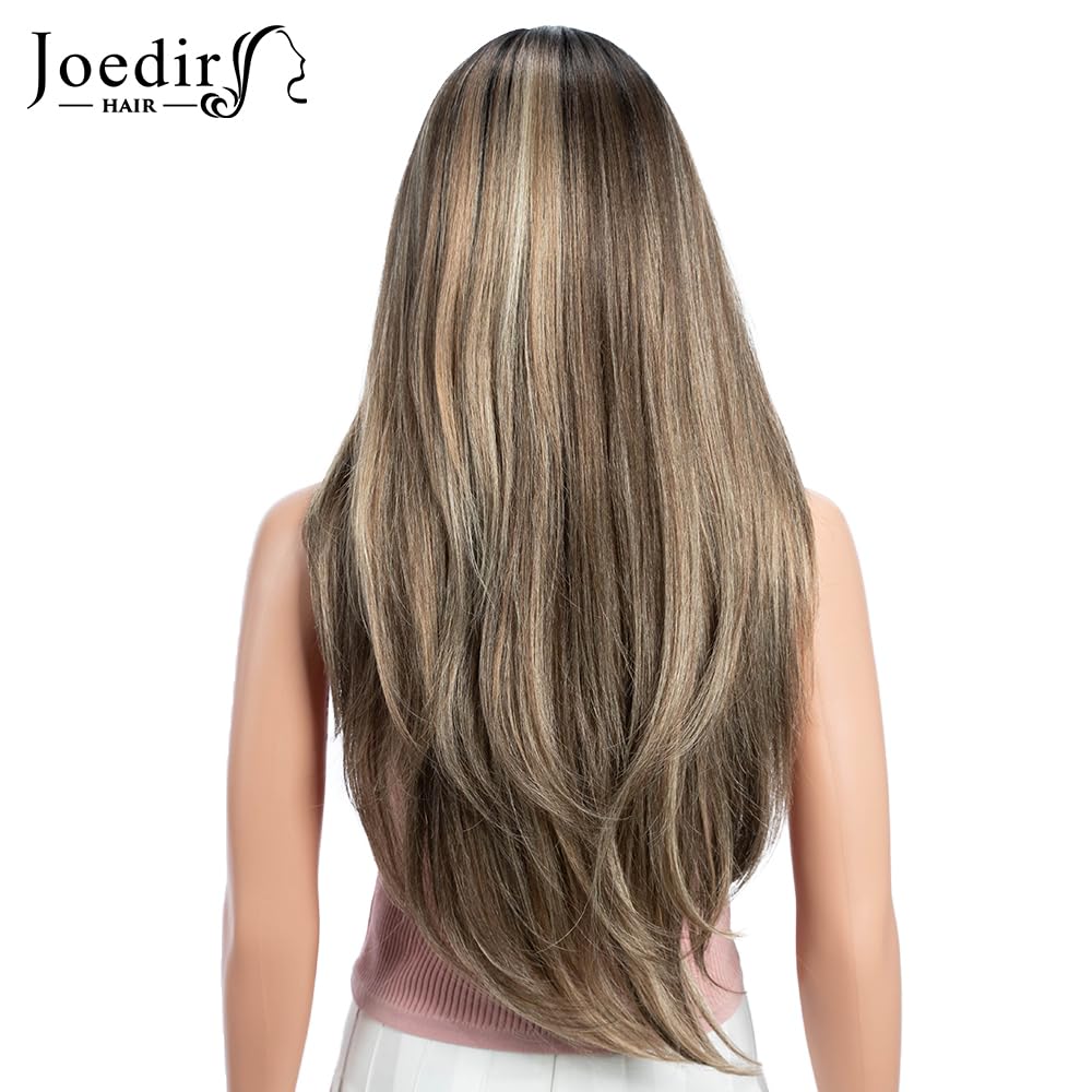 Joedir HAIR Layered Synthetic Lace Front Wig for Women with Curtain Bangs 24 inch Highlight Ash Brown Skunk Stripe Wig for Daily Party Cosplay (Color:NTSA4/10/23B/613C)