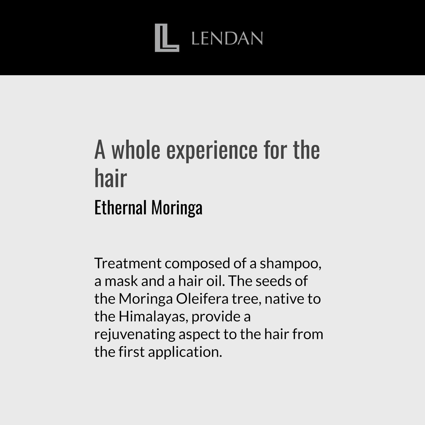 Lendan - Hair Oil with Moringa Oil - Oil Essences Ethernal Moringa - 100 ml - Hair Serum - Hair Rejuvenator - Hydrates, Nourishes, and Strengthens Hair