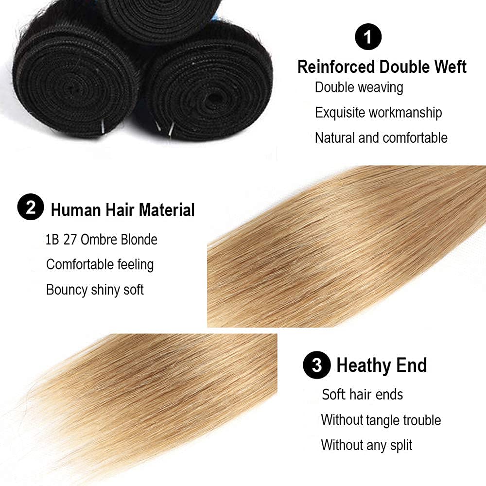 Honey Blonde Straight Bundles Human Hair T1B/27 Ombre Bundles Double Weft Brazilian Human Hair Sew-In Weave Extensions 10 12 14 Inch（Black Ombre Honey Blonde）