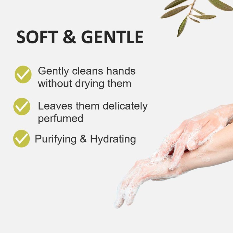 Fruits & Passion Lime Zest and Cypress Hand Care Duo