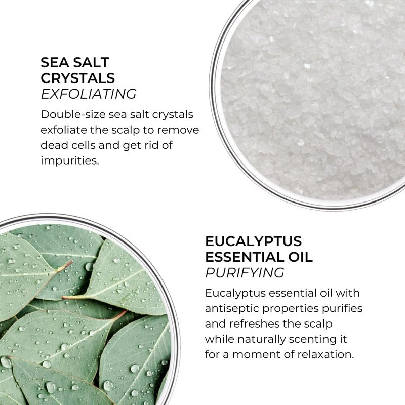 PHYTO Scalp Solutions Purifying Scrub - Exfoliating Sea Salt & Eucalyptus Cleanser for Oily Scalp | 7.05 oz
