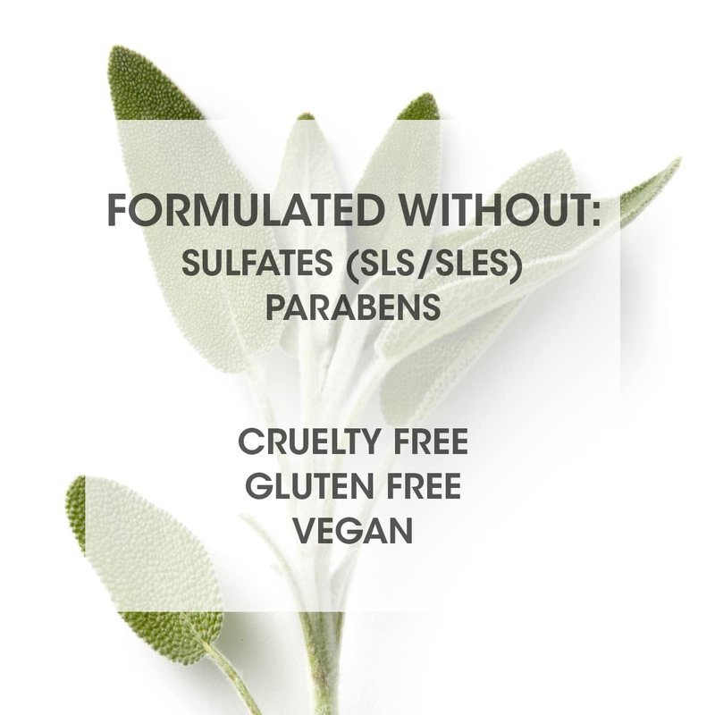 SEVEN Hair Care Gazar Hydrate Sulfate Free Shampoo for Women & Men, Sulfate & Paraben Free, Cruelty Free with Pro Vitamin B5, Sugarcane + Moisturizing Cactus Flower for Dry Hair, Made in USA