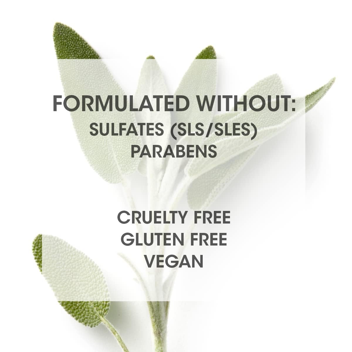 SEVEN Hair Care Gazar Hydrate Sulfate Free Shampoo for Women & Men, Sulfate & Paraben Free, Cruelty Free with Pro Vitamin B5, Sugarcane + Moisturizing Cactus Flower for Dry Hair, Made in USA