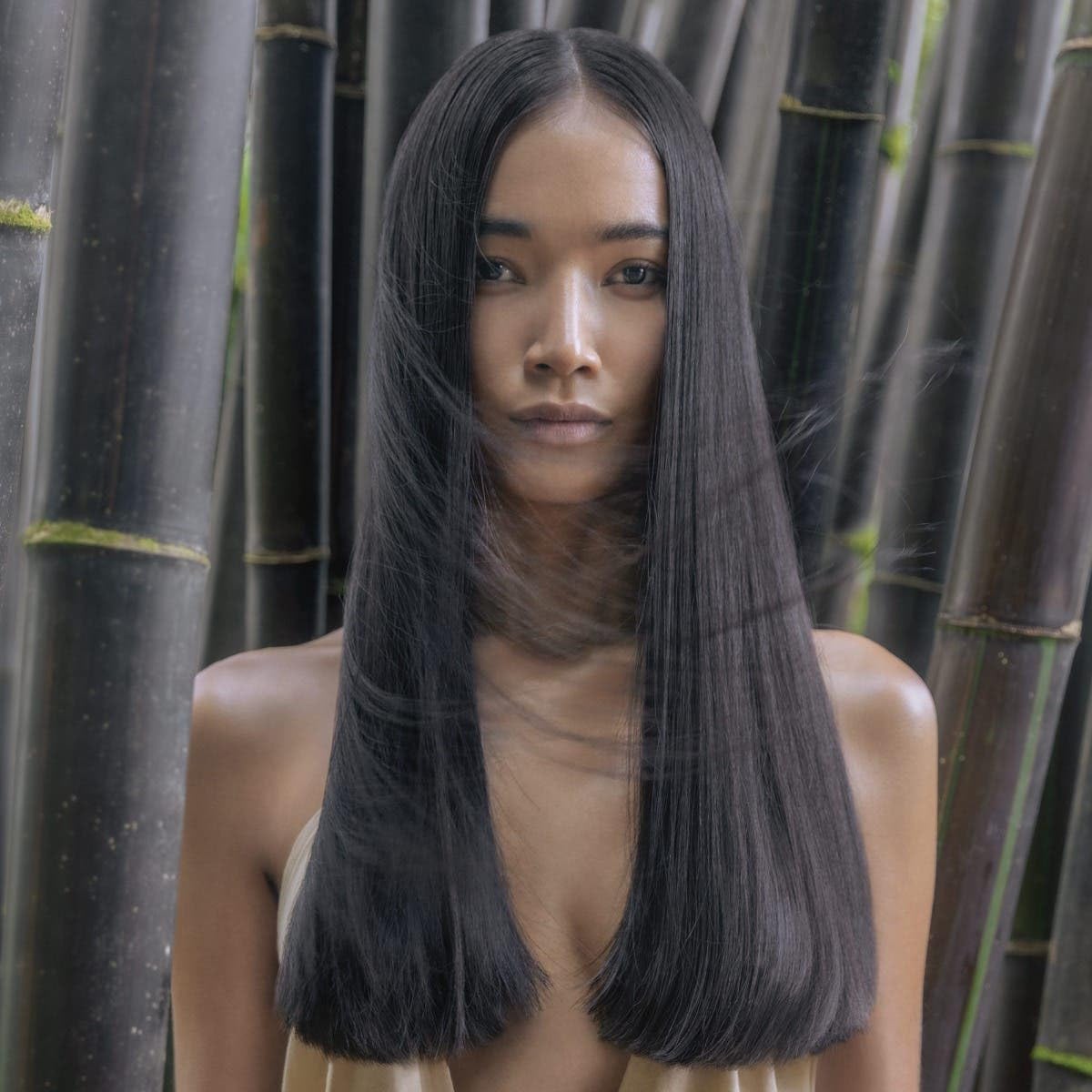 Awapuhi Wild Ginger by Paul Mitchell HydroCream Whip Mousse, Frizz Control, Touchable Hold, For All Hair Types, 6.7 oz.