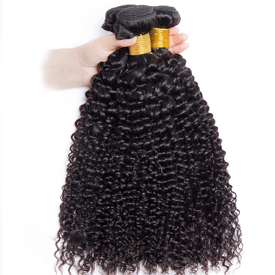 Water Wave Bundles - Natural Black Brazilian Virgin Hair | 12, 14, 16 Inch Wet & Wavy