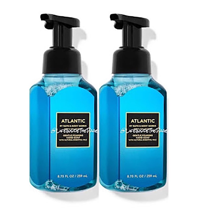 Bath and Body Works Gentle Foaming Hand Soap 8.75 Ounce 2-Pack (Firefly Forest)