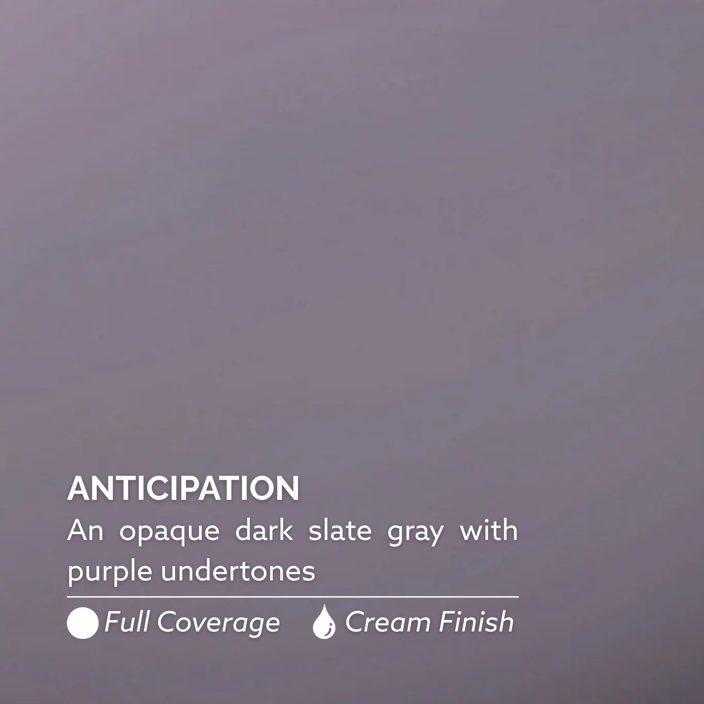 Dazzle Dry Nail Lacquer (Step 3) - Anticipation - An opaque dark slate gray with purple undertones. Full coverage cream. (0.5 fl oz)