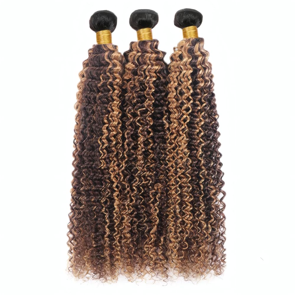 T1BP4/30 Brown Straight Human Hair Bundles Ombre Light Brown and Dark Brown Human Hair 3 Bundles 8 10 12 Inch Unprocessed Brazilian Virgin Remy Soft, Silky, Full,And Comfortable In The Sense Of Touch