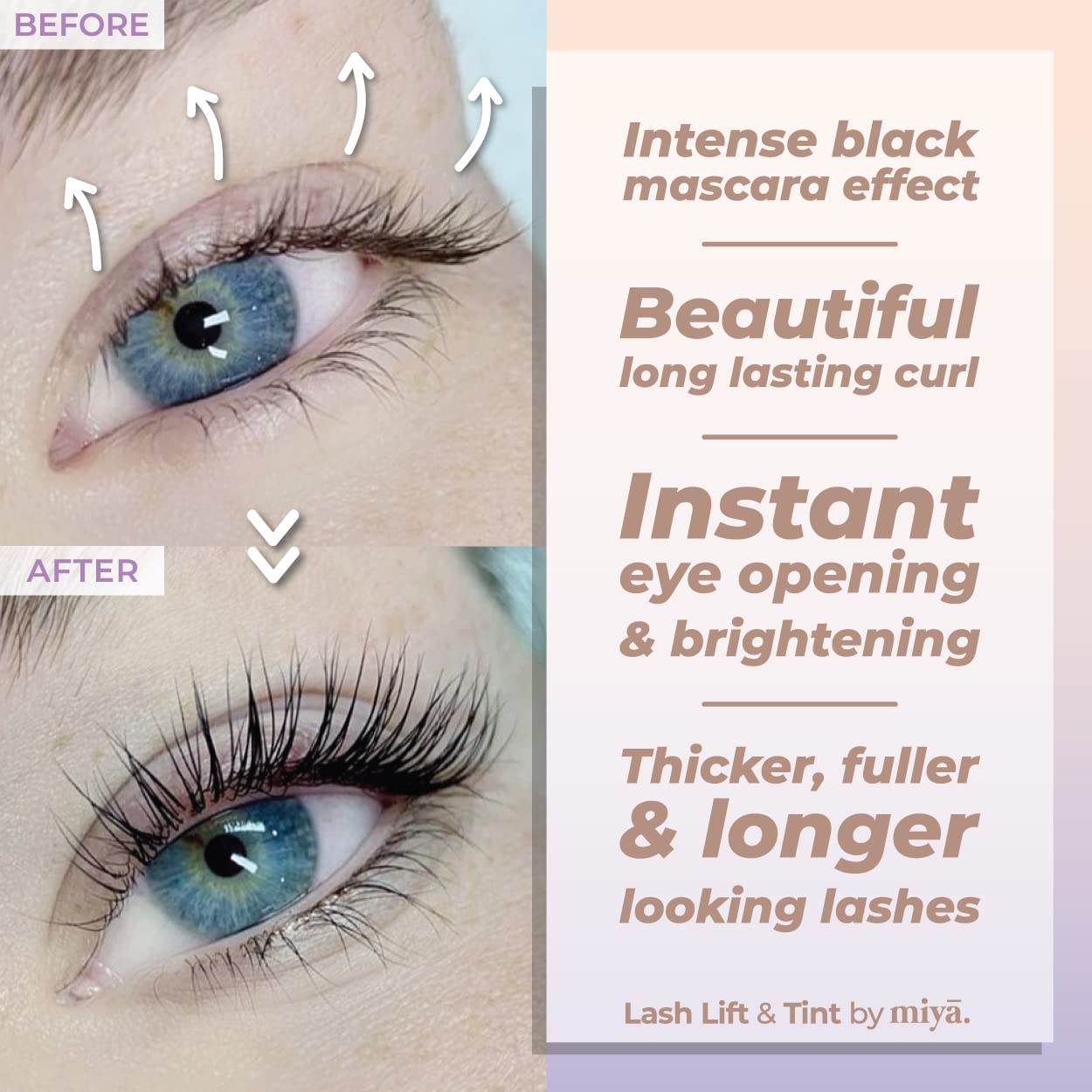 MIYA LASH Lift & Brow Lamination Kit | Black, Voluminous Eyebrows & Eyelashes Color | Professional 8 Weeks Result | LVL, Perm, Laminate | Keratin Brow & Lash Kit With All Tools