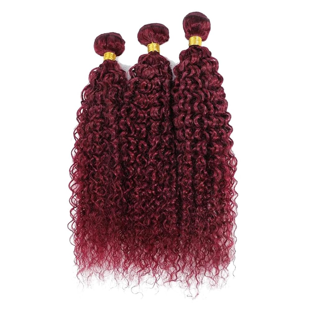 Curly Wave Human Hair Bundles 14 16 18 Inch #99J Burgundy Bundles Human Hair Wine Red 12A Unprocessed Native Virgin Hair 50G Per Bundle 3 Extensions Wet and Wavy Weave for Women