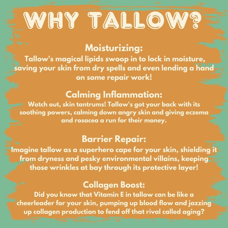 Apothecary Prairie Whipped Tallow Balm (Unscented) - 100% Grass-Fed Beef Tallow and Infused With Organic Sunflower Oil For Total Body Use on Dry Skin, Sunburns, Eczema and Rashes (4oz)