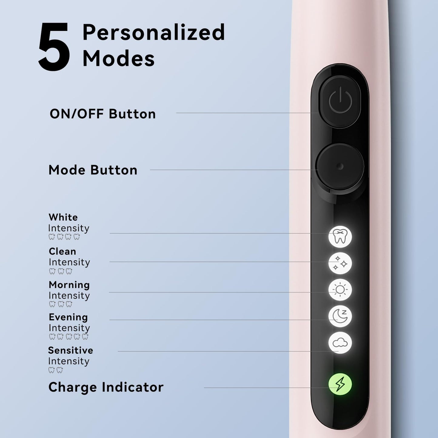 SEAGO Rotating Electric Toothbrush for Adults - 8 Replacement Heads (4 Soft/4 Hard), IPX7 Waterproof, 5 Modes with Memory Function, 2-Minute Timer, USB Type-C Rechargeable (SG-2607-Pink