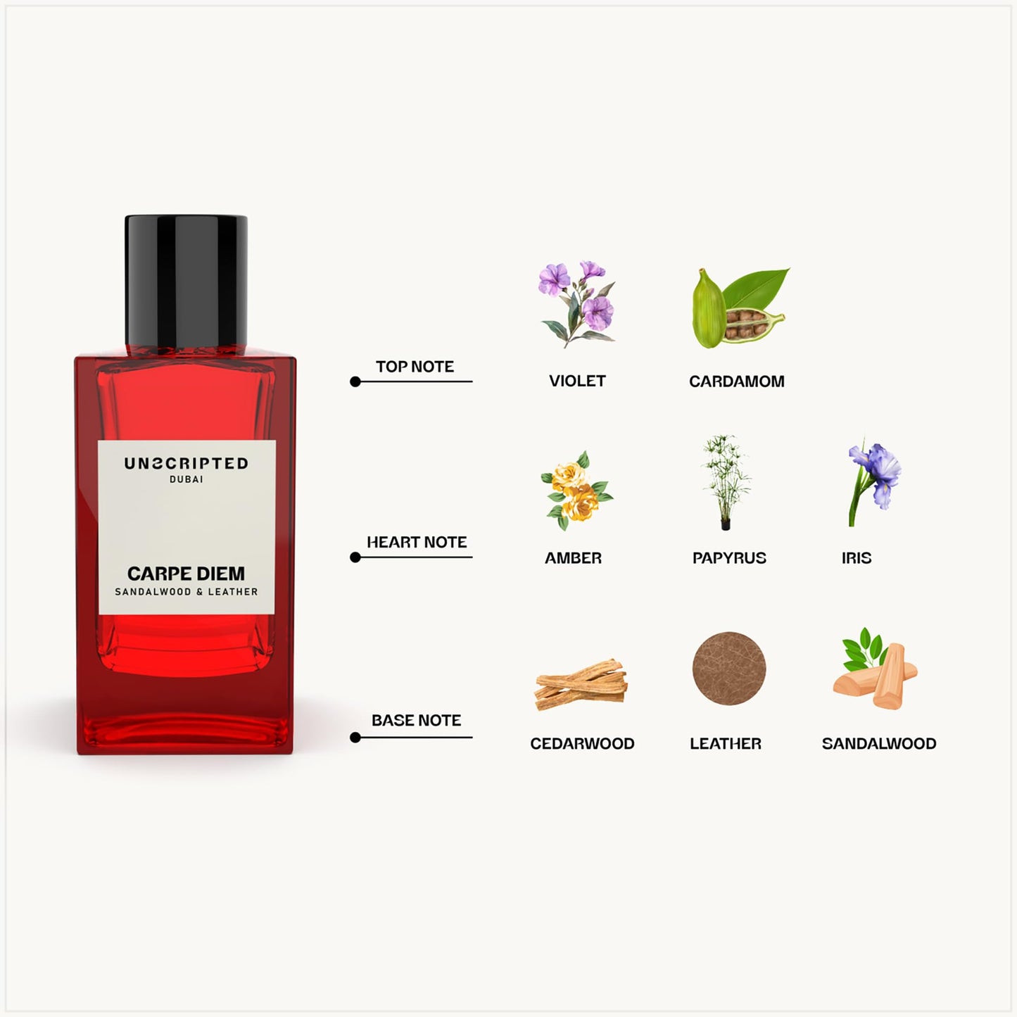 Unscripted Carpe Diem - Perfume for Men and Women - Women Perfume with Amber, Cedarwood, Leather Notes - Bold, Long-Lasting Mens Cologne - 3.4 oz