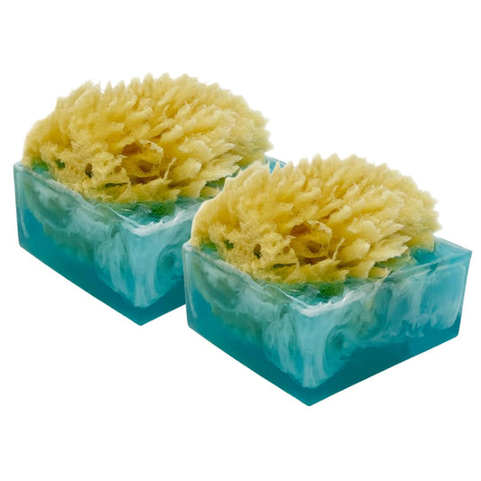 Primal Elements Facets of the Sea SpongeBar Soap (Pack of 2)