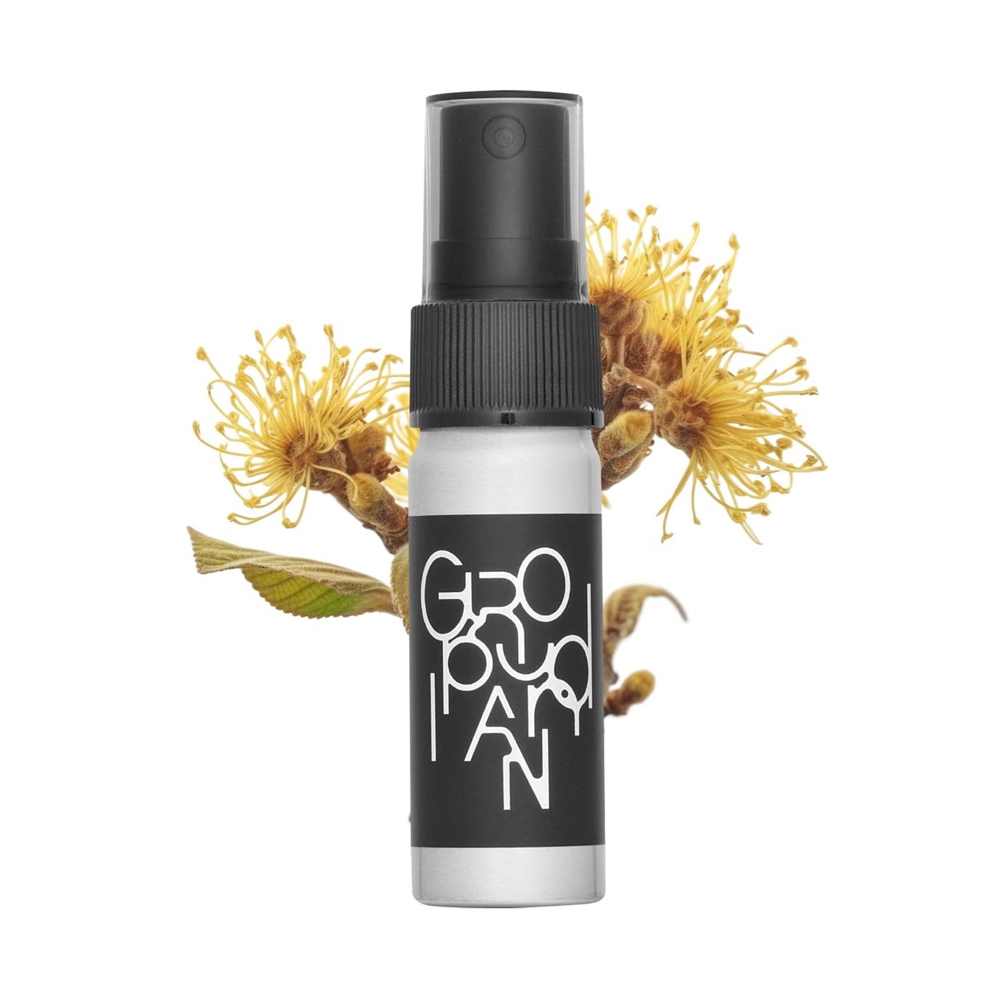 Groundplan - Hydrating face mist spray | facial spray mist | face spray mist hydrating | facial spray hydrating | facial mist spray for all skin types (0.68 Fl.oz)