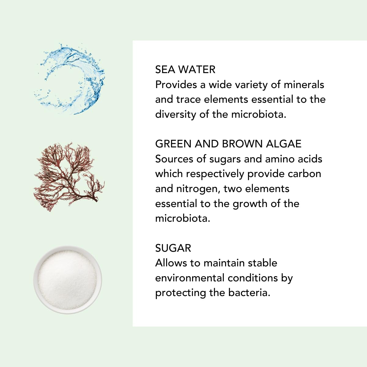 Lierac DEMAQUILLANT The Scrub Mask - Exfoliating Face Wash with Marine Prebiotic Complex, Kaolin - Smoothing Facial Scrub for All Skin Types - 75 ml