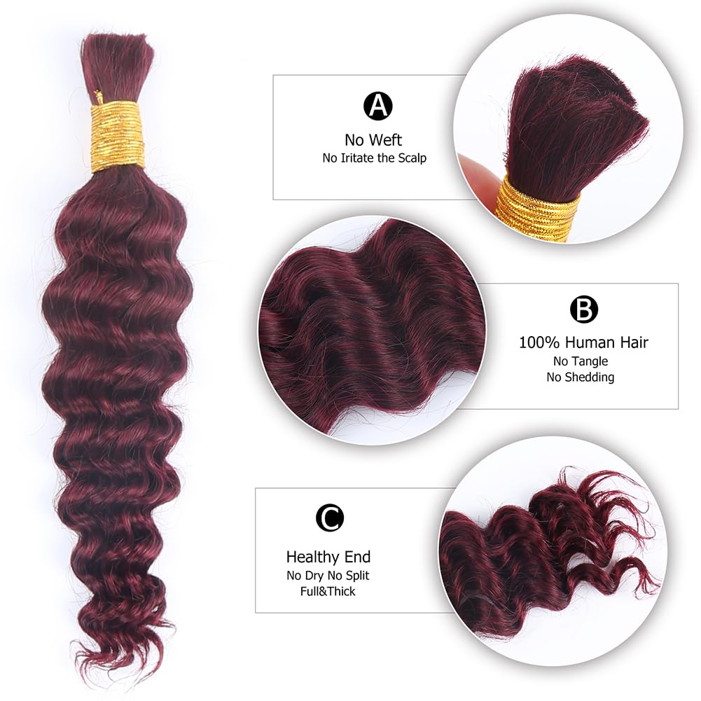 Deep Curly Human Braiding Hair for Boho Braids Burgundy Deep Water Wave Human Hair Braiding Hair No Weft Hair Bundles for Bohemian Knotless Braids 20 22 Inch Bulk Human Hair for Braiding 50g/Bundle