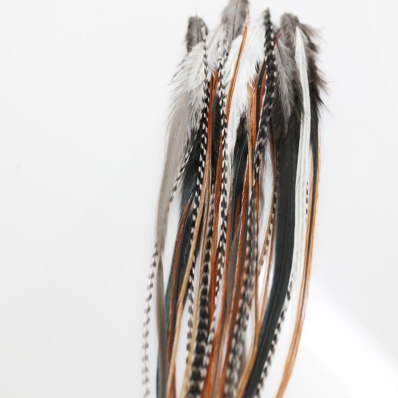 Sexy Sparkles Feather Hair Extensions - Natural Beige & Brown Feathers, 25 Individual Loose Feathers, 8-12 Inches, Includes 10 Silicone Micro Beads