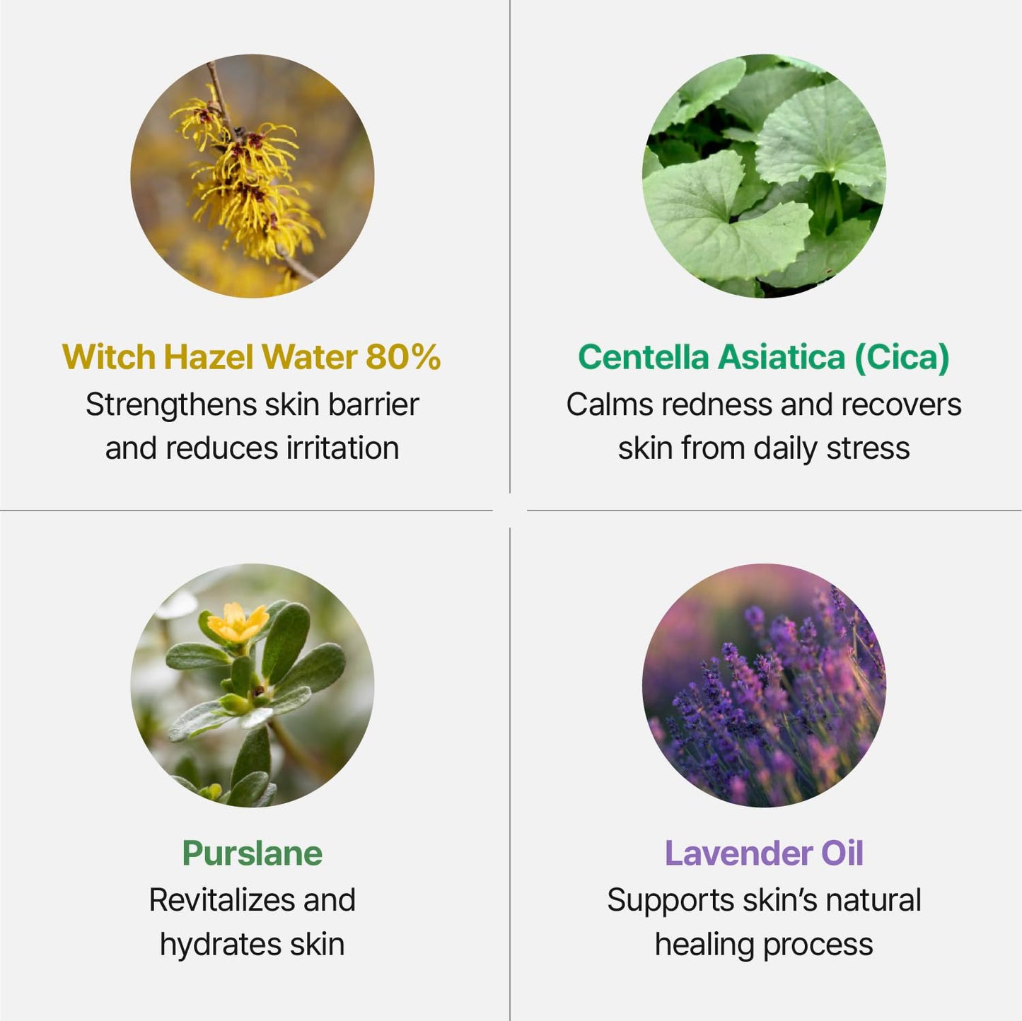 Groundplan - Hydrating face mist spray | facial spray mist | face spray mist hydrating | facial spray hydrating | facial mist spray for all skin types (0.68 Fl.oz)