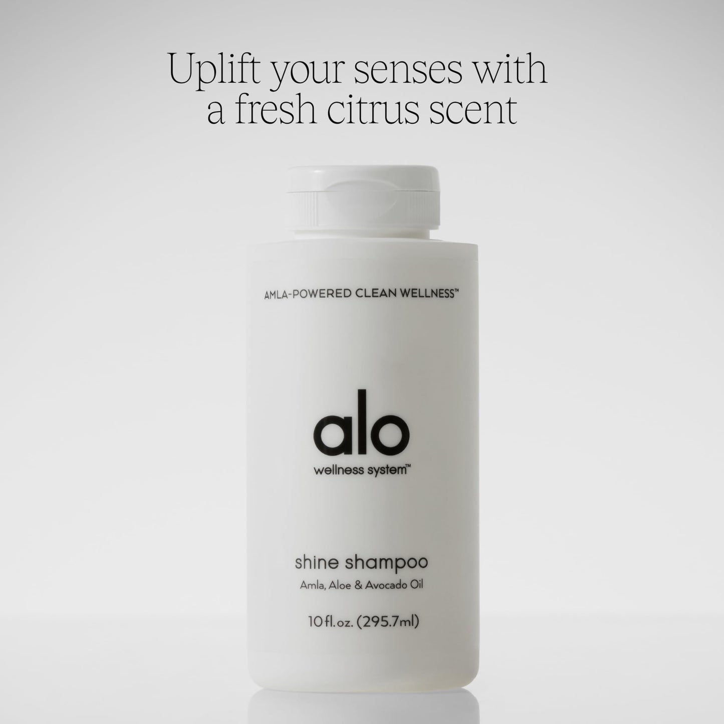 Alo Shine Shampoo | Smooths, Fights Frizz & Adds Bounce for All Hair Types | Sulfate Free & Made with Botanical Oils for Weightless Hydration | Grapefruit Scent | 10 fl. Oz
