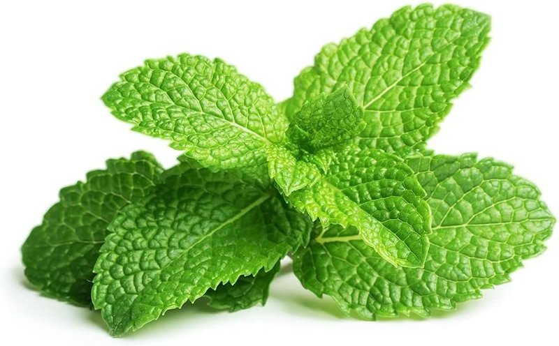 Peppermint Hydrosol Spray Toner | Hydrating Floral Mint Water for All Skin Types - 32 oz