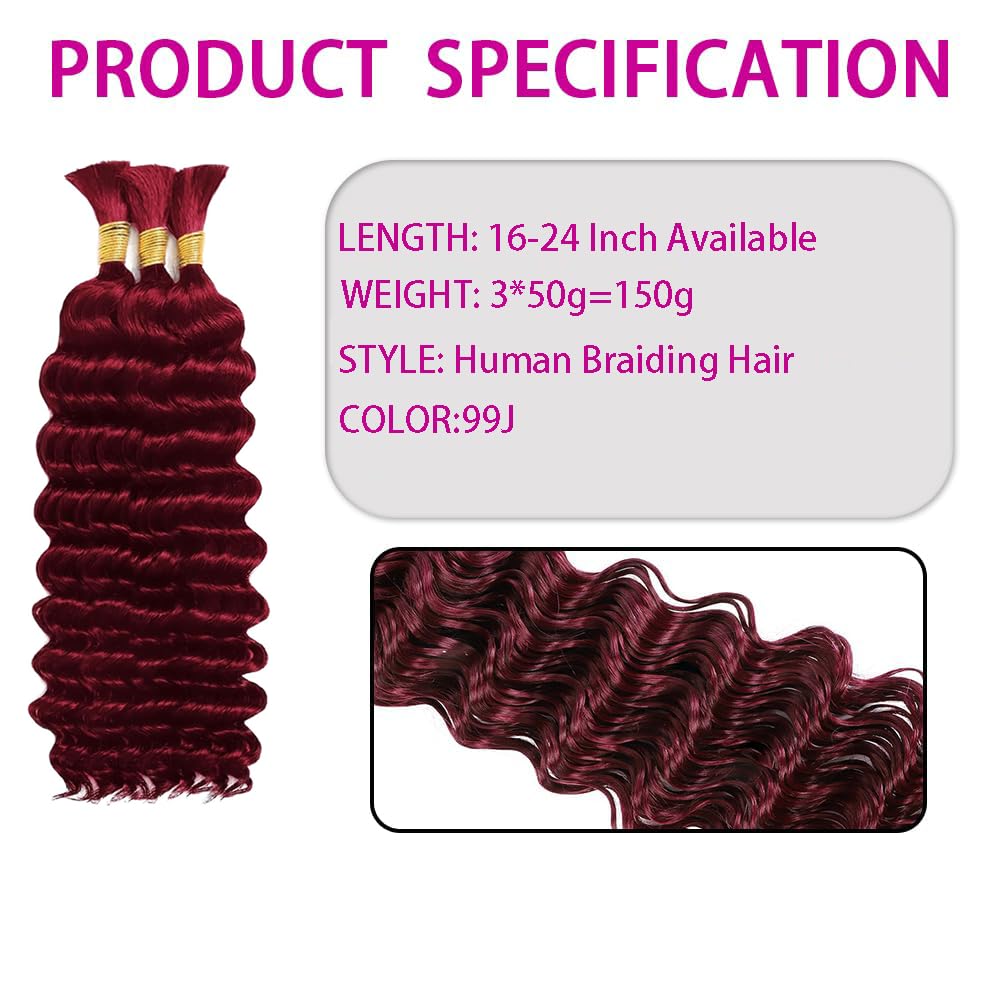 Human Braiding Hair - 150g Deep Wave Curly Extensions for Boho Braids | 24 Inch, 99J Burgundy Color