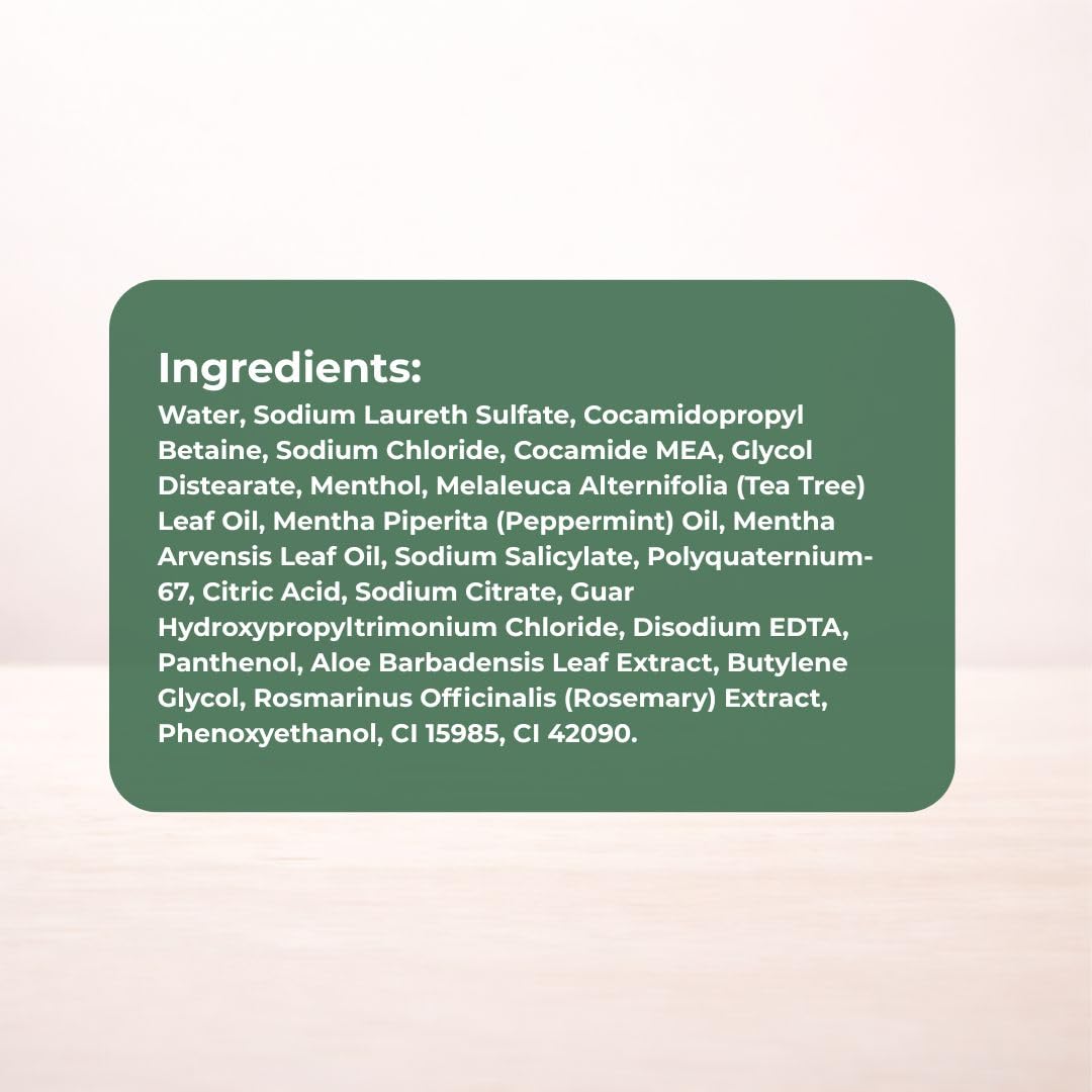 Daeng Gi Meo Ri Tea Tree Cool Shampoo | Cooling Scalp Care with Tea Tree & Aloe Vera | Refreshes Oily Hair, Hydrates Dry Hair, Gentle Cleansing | 1000ml