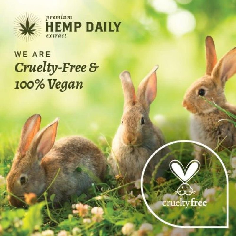 Hemp Daily Shampoo and Conditioner | Hemp, Argan, and Essential Oils | THC-free | 16 fl oz (Shampoo + Conditioner)