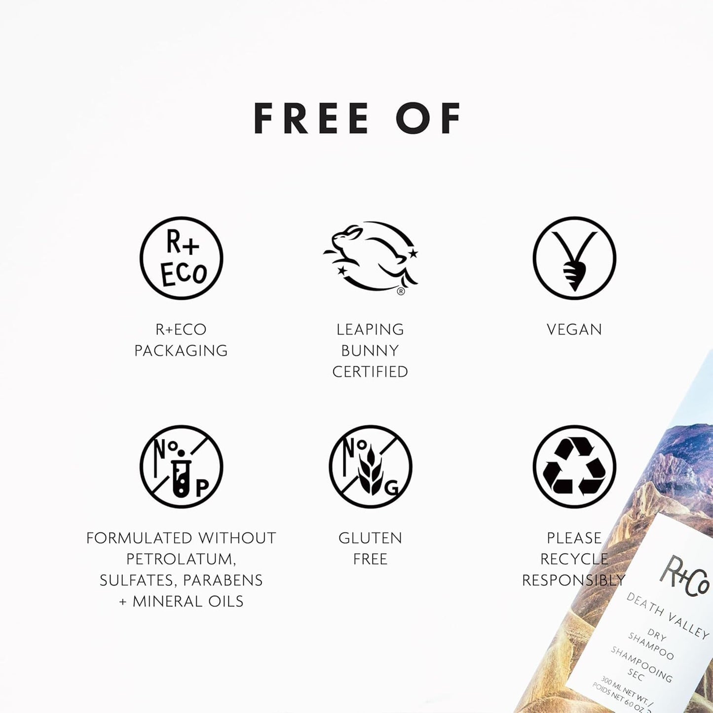 R+Co Death Valley Dry Shampoo | Adds Volume, Body and Absorbs Oil & Adds Texture | Vegan, Gluten-Free & No Parabens | 6 Ounce (Pack of 1)