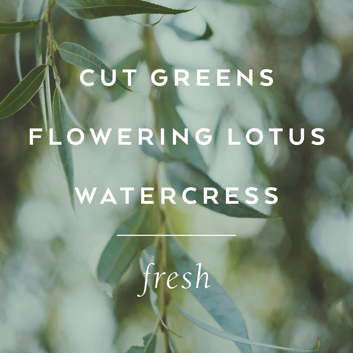 Library of Flowers Willow & Water Parfum Crema, 2.5 oz., Cut Greens, Flowering Lotus, & Watercress Scented Women's Solid Perfume, Long Lasting Fragranced Body Lotion