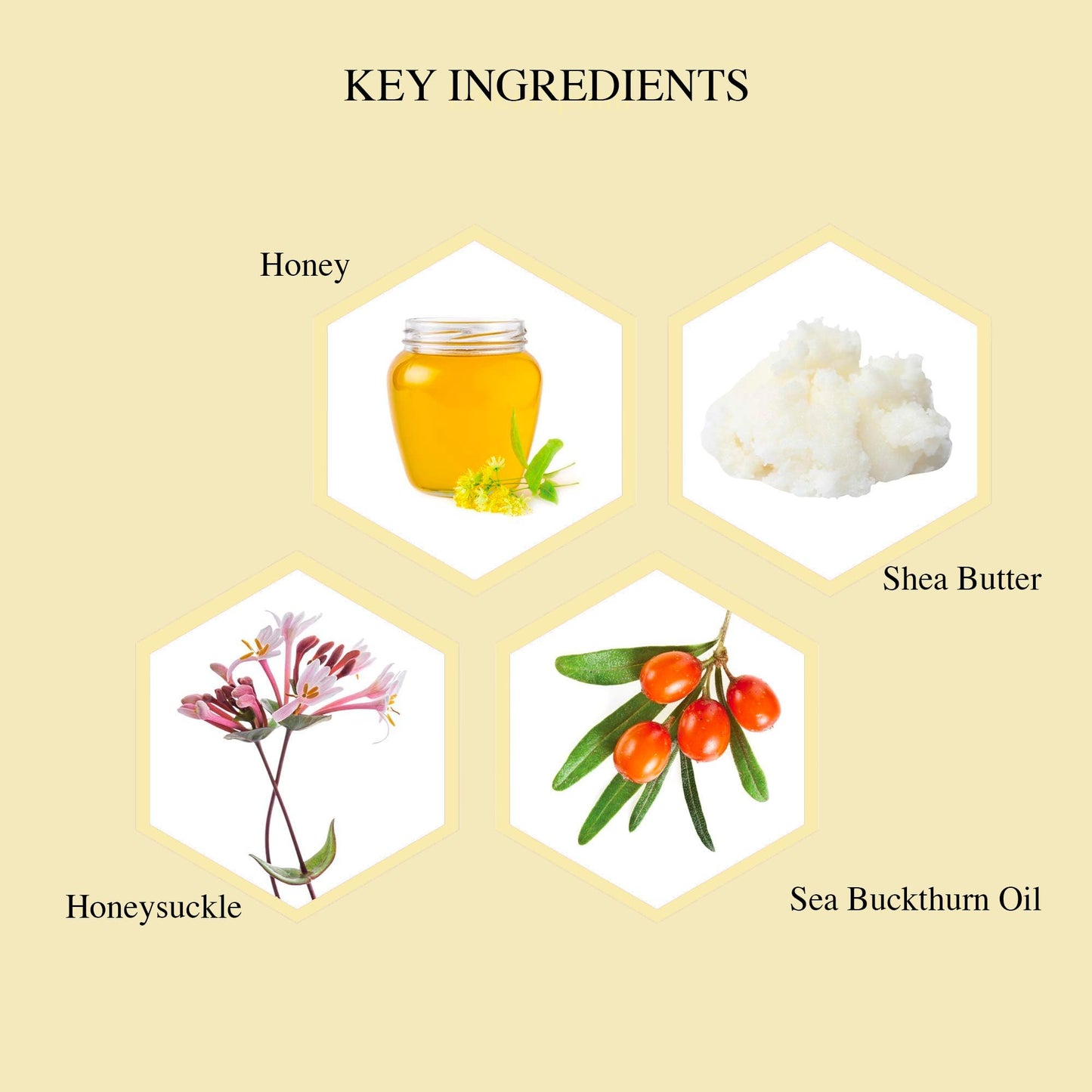 Hey Honey On and On Unique Cream to Oil Formula | Complete Body Moisturizer | Vitamin E, Vitamin C | Non-Greasy 48 Hours Active Hydration | Moisturizing Honey Extracts & Botanicals | 6.7 oz.