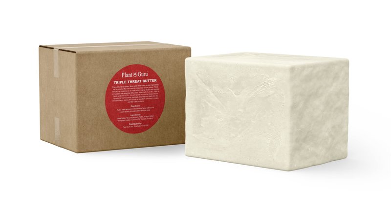 Plant Guru Triple Threat Body Butter 3 lbs. Bulk - Blend of Shea, Mango & Coconut Oil - 100% Pure Natural Raw Unrefined Moisturizer For Dry Skin, Face And Hair. Great For Lip Balm and Soap Making