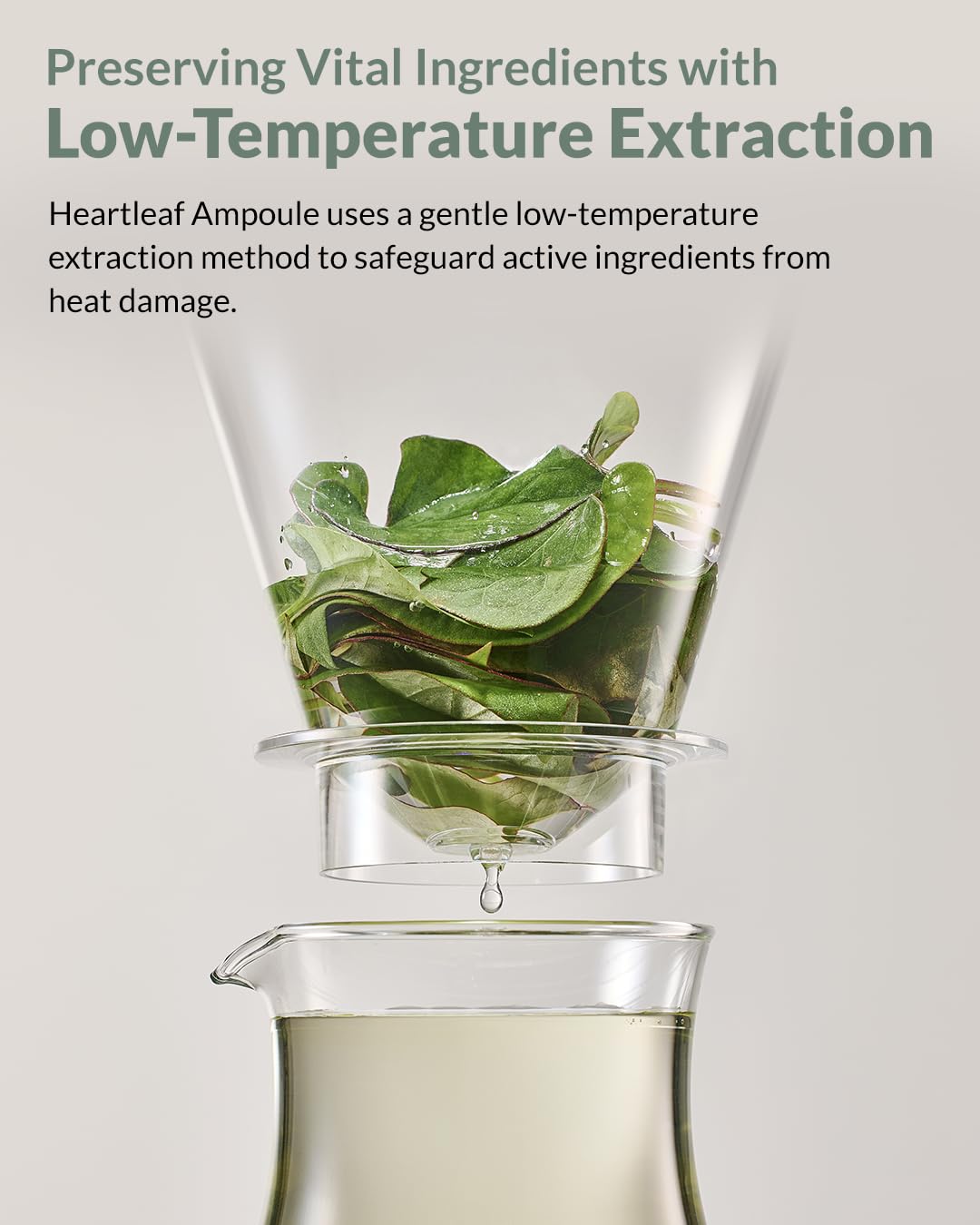 HERBNOTE Heartleaf Soothing Moisture Ampoule - Enriched with 80% Extracted Houttuynia Cordata, Teatree & Pantenol - Effective for Sebum Control - Clinical Tested, 1.35 fl.oz