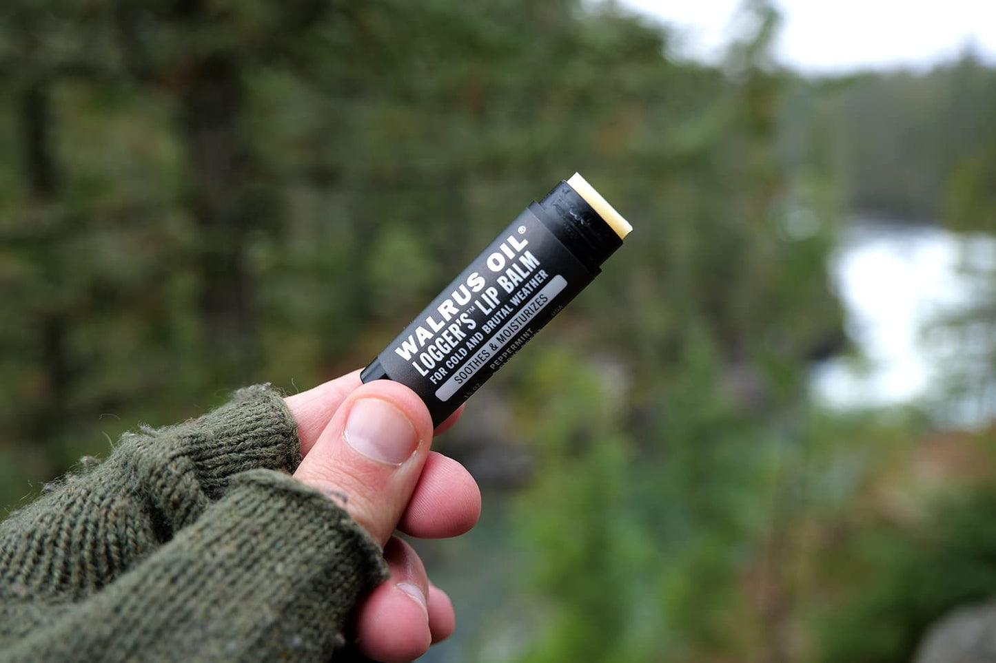 WALRUS OIL - Logger's Lip Balm, 6-Pack, 100% Vegan and Beeswax-Free, Made with Candelilla Wax, Coconut Oil, Jojoba Oil, and Natural Ingredients.