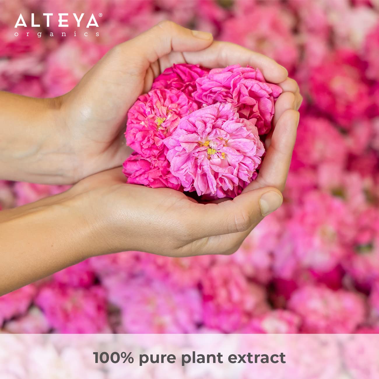 Alteya Organic Rose Water Facial Toner - High-Potency Moisturizer | 6.8 Fl Oz Pure Bulgarian Rosa Damascena