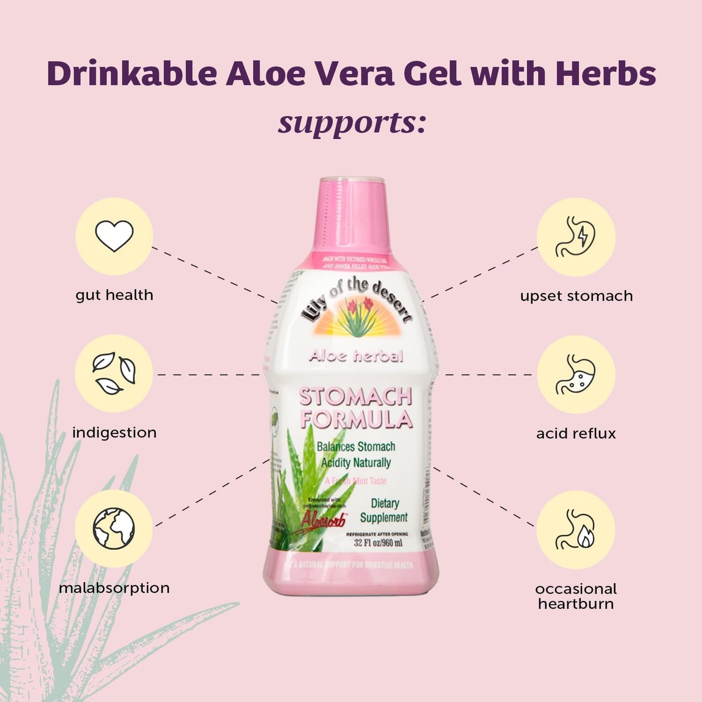 Organic Aloe Vera Juice - Stomach Formula with Slippery Elm, Chamomile & Ginger | 32 Oz (Pack of 2)
