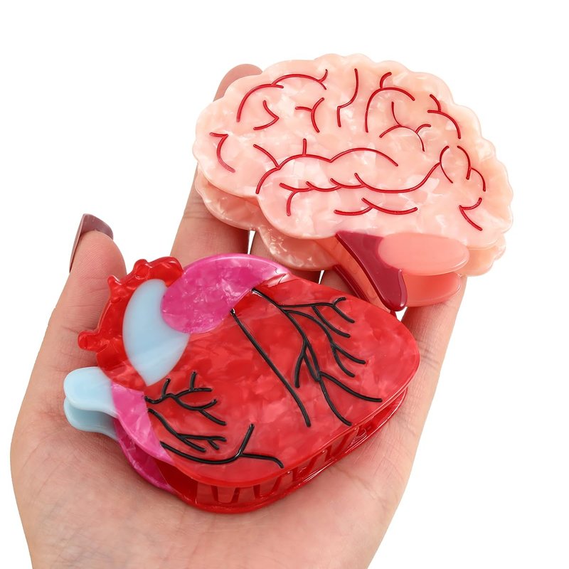 Personalized Acetate Anatomical Heart Hair Claw Clip Brain Claw Hair Clip Relaxing Hair Clip for Nurses Holiday, Personalized and Fun for women Gift (Brain Heart)
