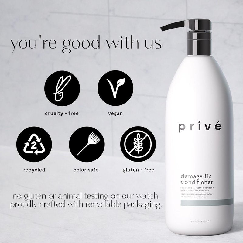 Prive Damage Fix Conditioner - Repairs Dry and Over-Processed Hair from Within Protects Future Additional - Smooths Frizz, Restores Shine, Strengthens Weak, Brittle Strands (12 Oz)
