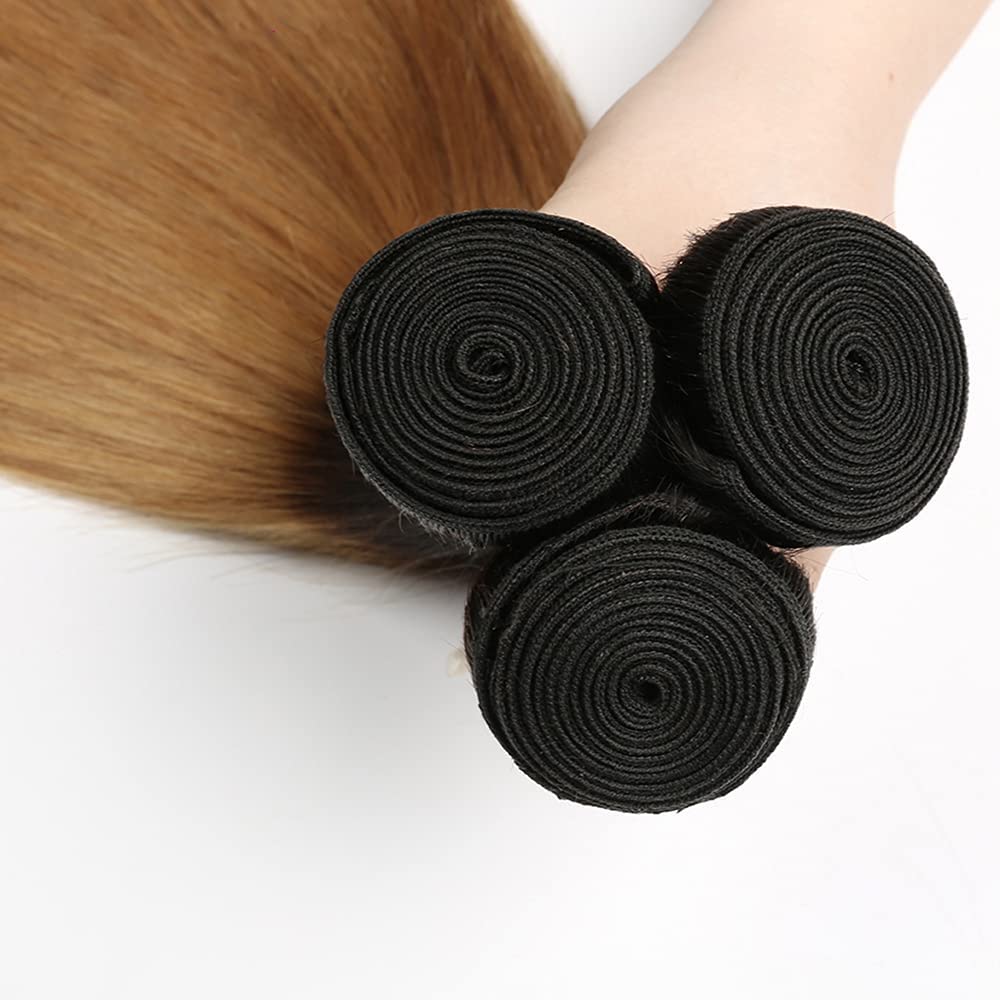 Honey Blonde Straight Bundles Human Hair T1B/27 Ombre Bundles Double Weft Brazilian Human Hair Sew-In Weave Extensions 10 12 14 Inch（Black Ombre Honey Blonde）