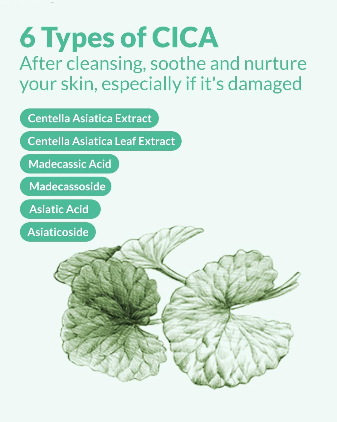 AHA BHA PHA Purifying Refresh Toner - Exfoliating Toner with Niacinamide for Breakouts | 6.76 fl. oz