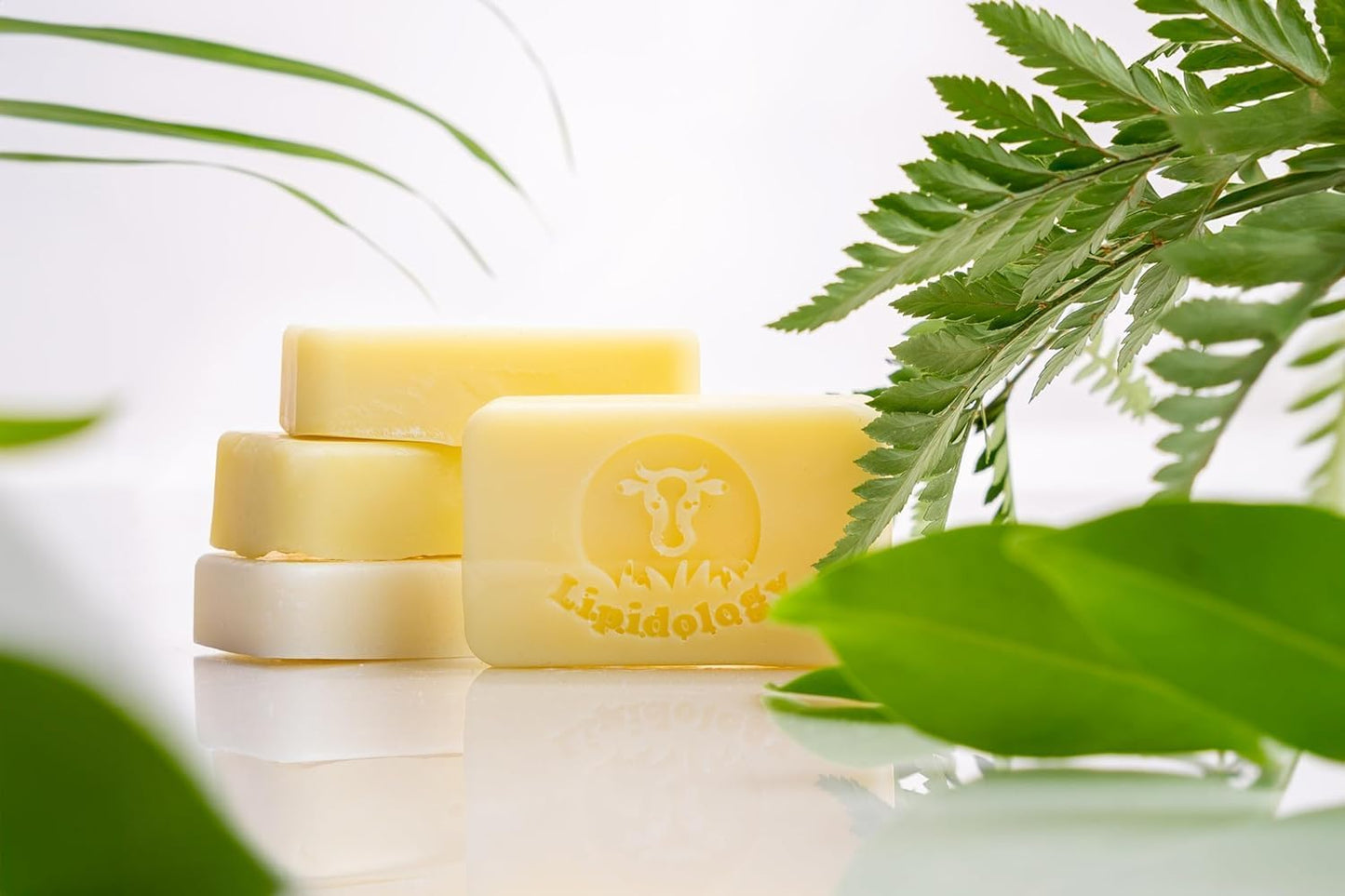 Tallow Soap - Unscented Natural Soap Bars | 5 Pack, 300g for Gentle Cleansing