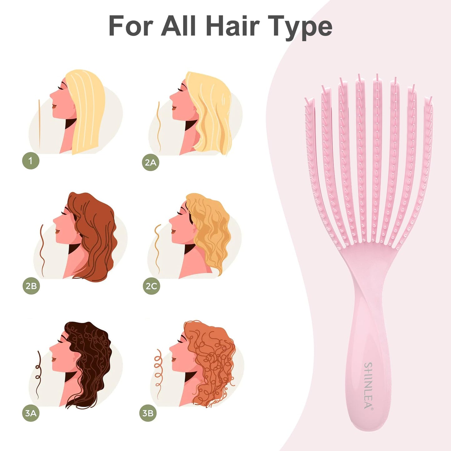 SHINLEA Detangler Brush for Curly Hair, Hairbrush for Wet Dry Thick Thin, Easily Brushes Through Curl Hair and Reduces Breakage