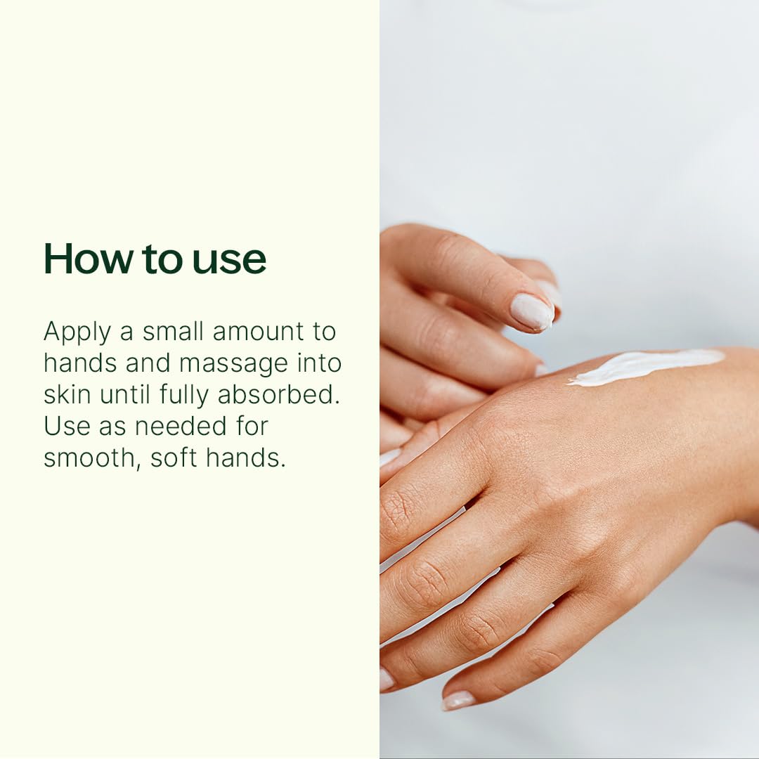 Plant Therapy Frosted Holiday Hand Cream Trio Set, Festive Trio with Three Seasonal Scents, Silky, Non-Greasy Hydration Anytime, Anywhere, Perfect for Gifting, Travel, or Stockings, Naturally Scented
