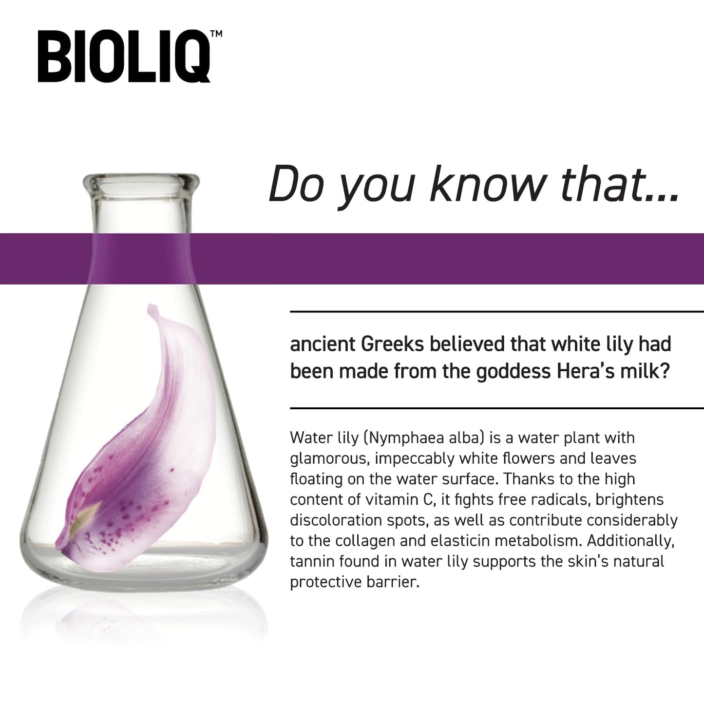 Bioliq Firming Day Cream | Wrinkle Smoothing with European White Water Lily Extract - 50ml