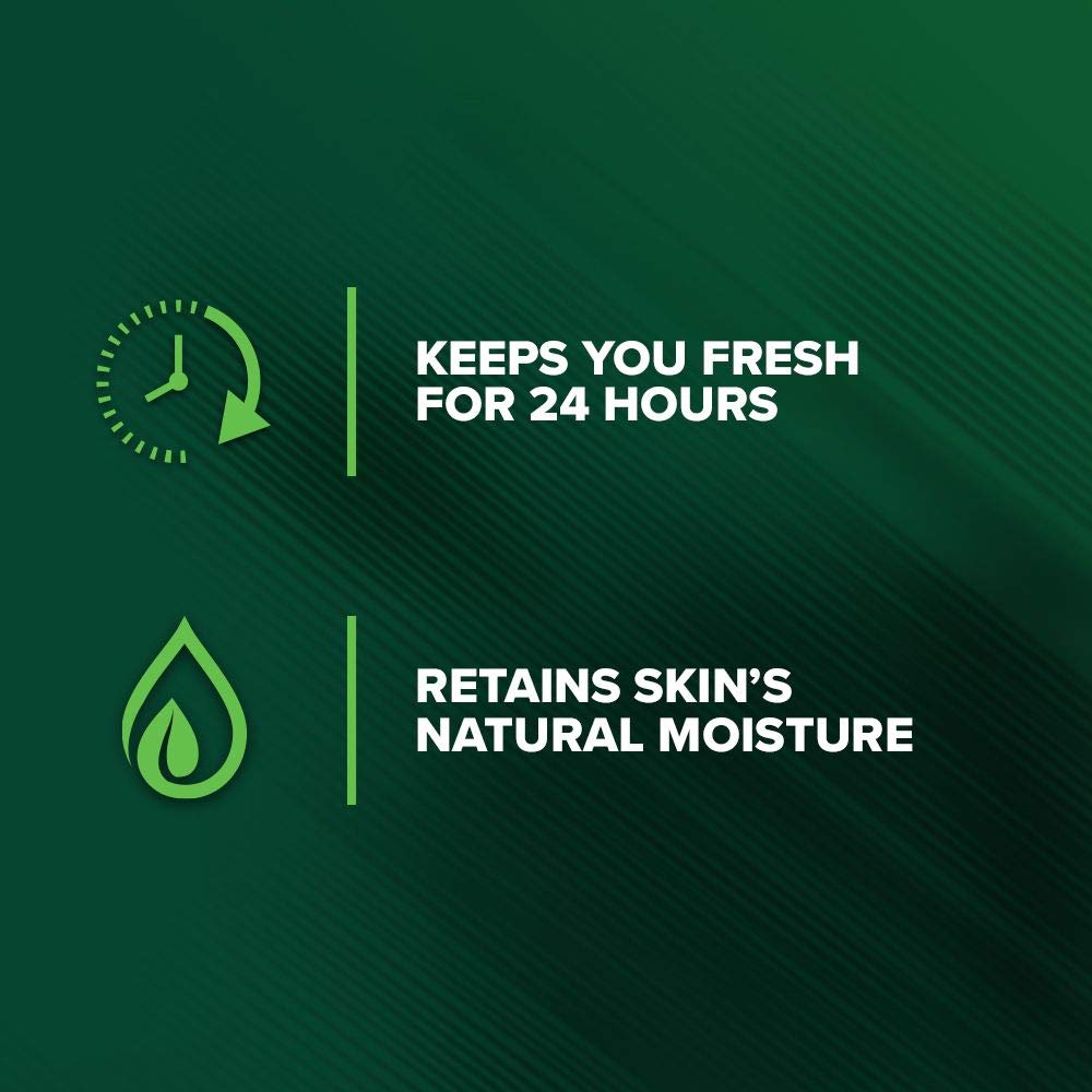 Irish Spring Face & Body Wash | Tea Tree Oil, Moisturizing Formula - 18 Fl Oz, 4 Pack