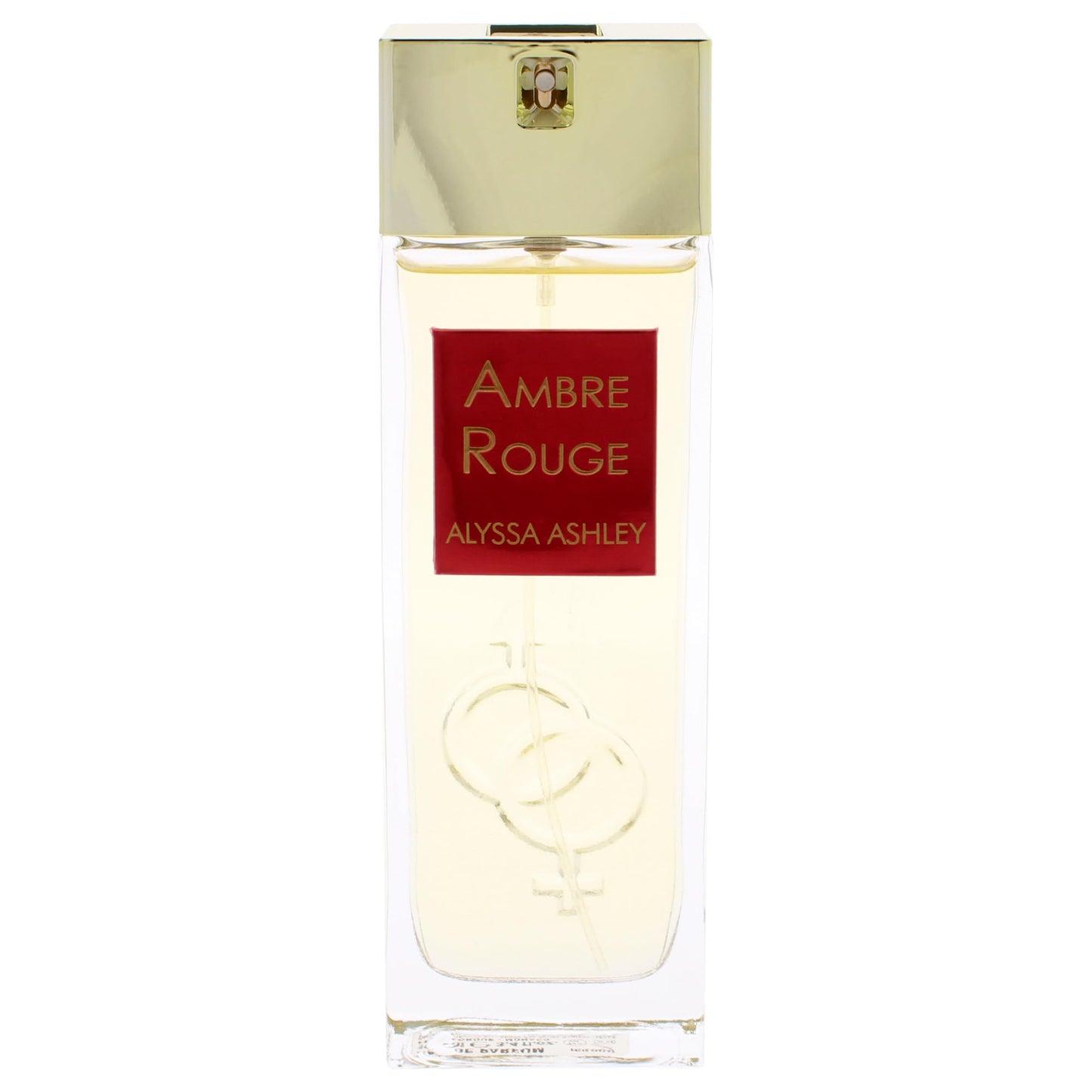 Alyssa Ashley Ambre Rouge - Perfumes for Women and Cologne for Men - Mens Cologne with Pepper, Citrus, Floral, and Fruit Notes - 3.4 oz EDP Spray