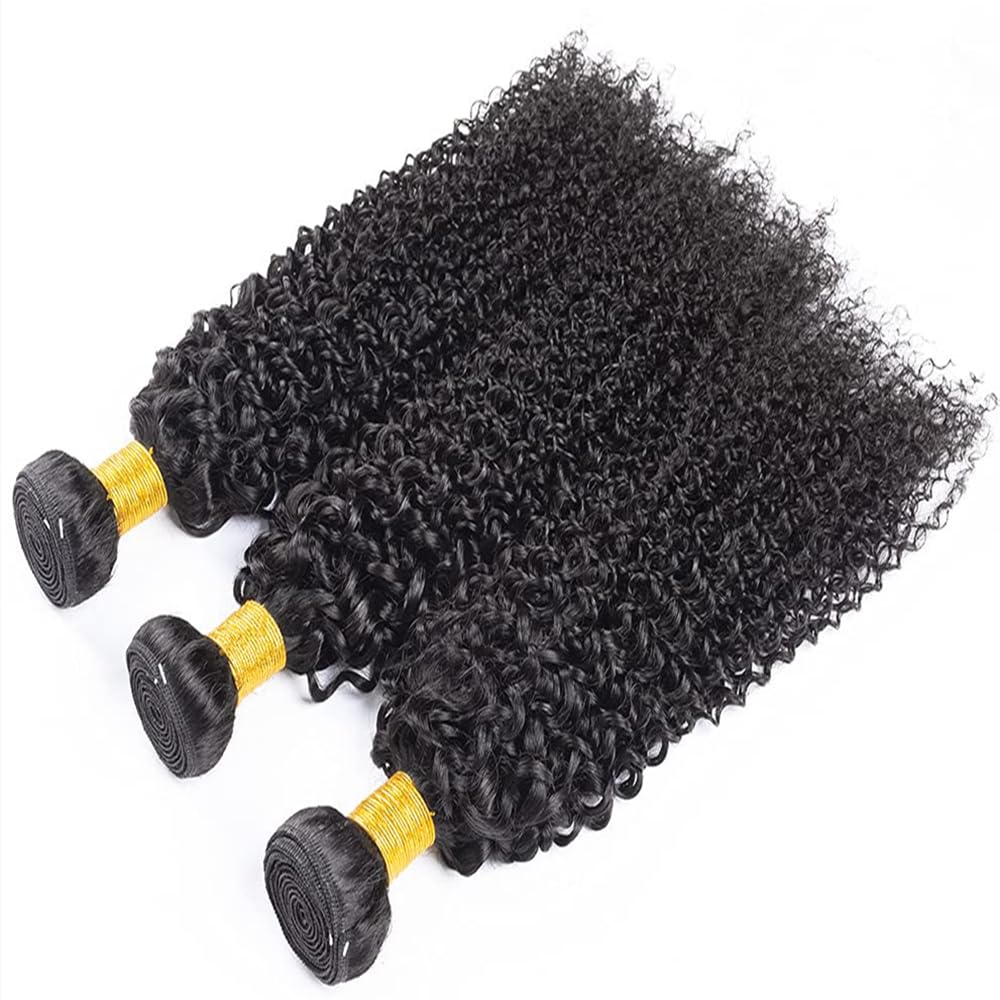 Ladiaryf Kinky Curly Human Hair Bundles Thick Brazilian Virgin Curly Weave Bundles Human Hair 100% Unprocessed Double Weft Natural Black Color Can Be Dyed 100g 18 Inch